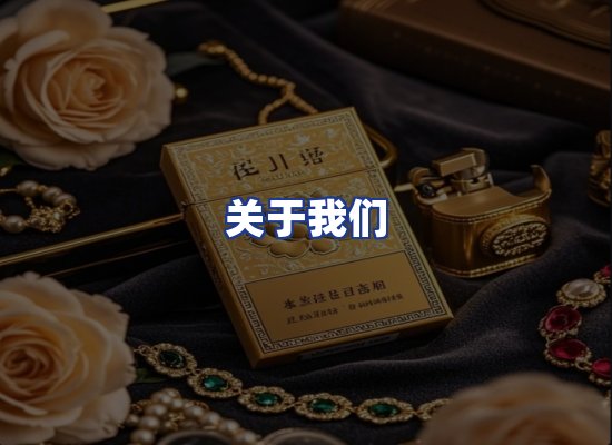 专业团队